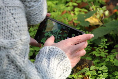 Cropped hand of woman using mobile phone