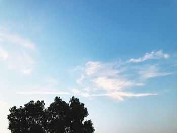 Low angle view of trees against blue sky