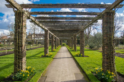 Bridge amidst trees against sky