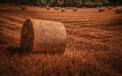 Hay bales on field