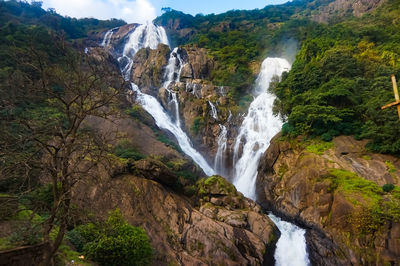 Scenic view of waterfall in forest