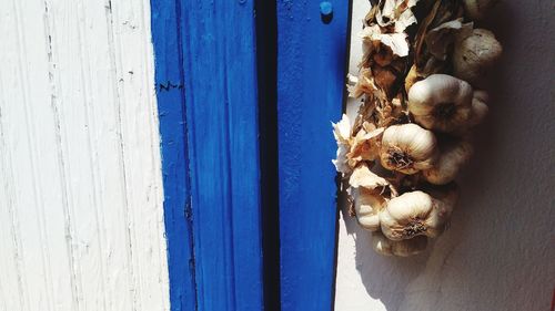 Bunch of garlic hanging on wall during sunny day