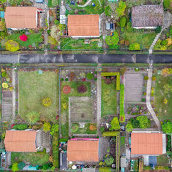 Vertical aerial view of an allotment garden with huts, paths and vegetable beds