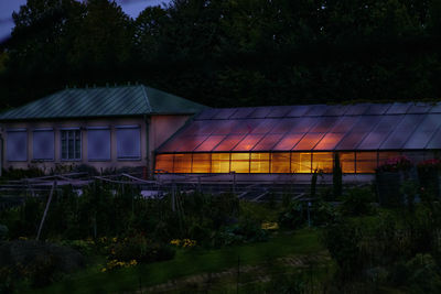 House by trees against sky at night