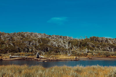 Scenic view of lake against clear blue sky