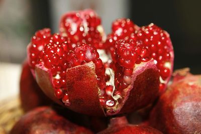 Close-up of red fruit