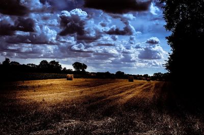 Scenic view of field against sky