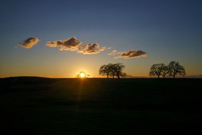 Silhouette trees on field against sky during sunset