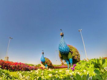 Low angle view of flowers against clear blue sky