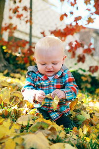 Close-up of boy with flowers in autumn leaves