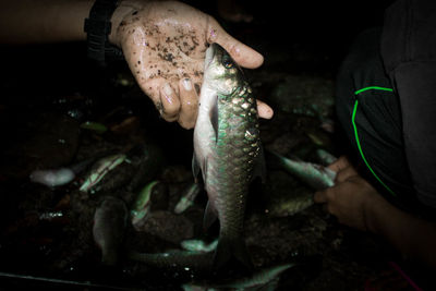 Person holding fish