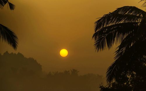 Silhouette palm trees against sky during sunset