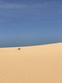 Scenic view of desert against sky