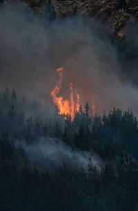 Low angle view of fire at night