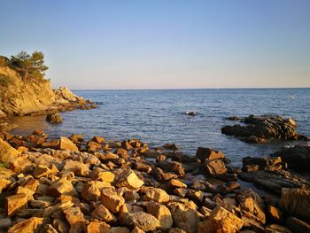 Scenic view of sea against clear sky