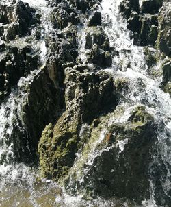 Close-up of water flowing through rocks