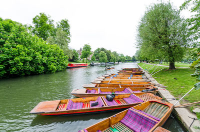 Boats moored on river by trees against sky