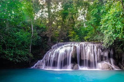 Scenic view of waterfall in forest