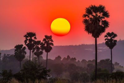 Silhouette palm trees against sky during sunset