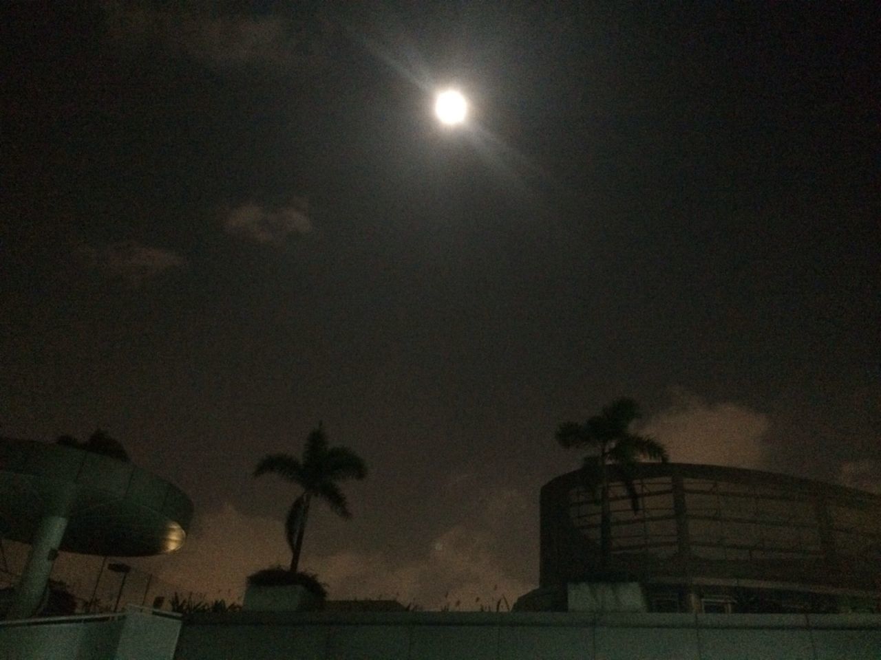 built structure, architecture, sky, building exterior, palm tree, low angle view, night, tree, illuminated, street light, silhouette, dusk, moon, lighting equipment, house, growth, nature, outdoors, no people, cloud - sky