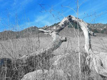 Low angle view of rocky mountains against blue sky