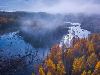 Scenic view of lake in forest during autumn