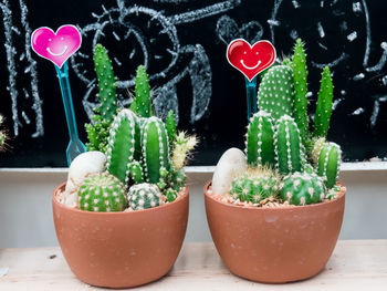 Close-up of potted plants on table