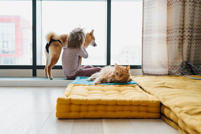 Preschooler boy resting on sports mats with his domestic pets, shiba inu dog and cat.people and pets