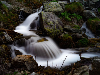 View of waterfall in forest