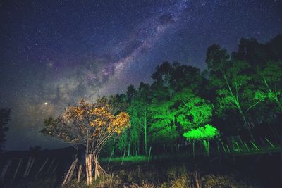 Trees on field against sky at night