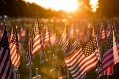 Close-up of flags against blurred background