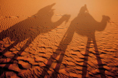 Shadow of people on sand