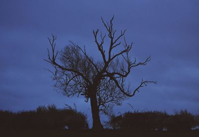 Low angle view of silhouette bare tree against blue sky