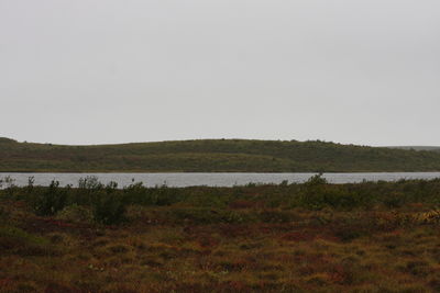 Scenic view of lake against clear sky