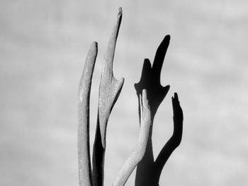 Close-up of human hand against sky