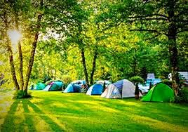 tree, tent, camping, nature, grass, beauty in nature, outdoors, green color, scenics, tranquility, no people, multi colored, arts culture and entertainment, vacations, landscape, day, rural scene, sky