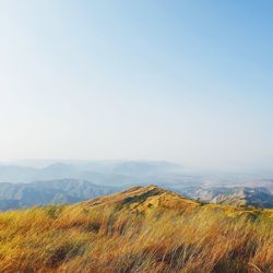 Scenic view of landscape against clear sky