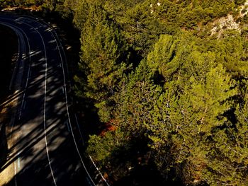 High angle view of winding road  amidst green forest in the mountain