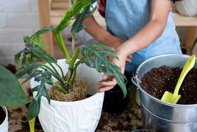 Midsection of woman planting potted plant