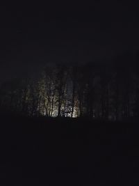 Silhouette trees in forest against clear sky at night