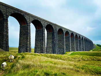 Ribblehead viaduct in north yorkshire 