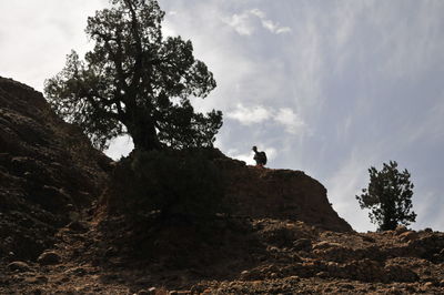 Low angle view of man sitting on rock against sky