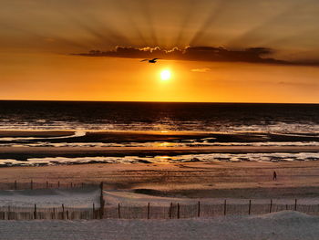 Berck plage 