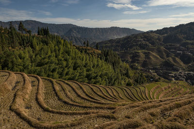 Scenic view of agricultural field against sky