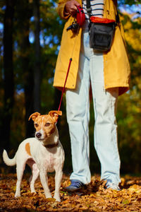 Rear view of dog standing on field