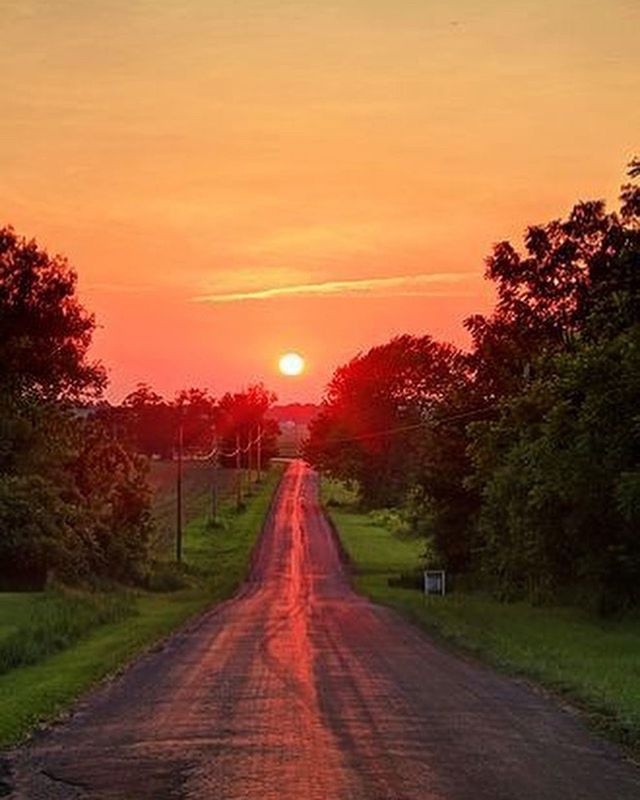 ROAD AMIDST TREES DURING SUNSET