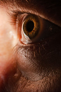 Close-up of man eye