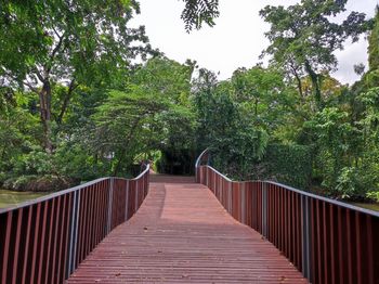 Footbridge amidst trees in forest