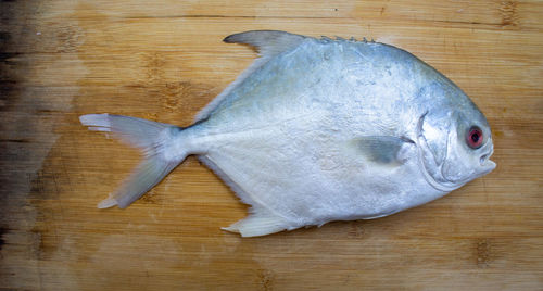 High angle view of fish on wooden table