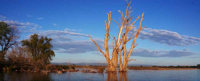 Scenic view of calm lake against blue sky